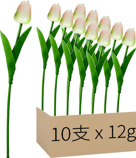 仿真鬱金香 34cm, 綠香檳, 10支