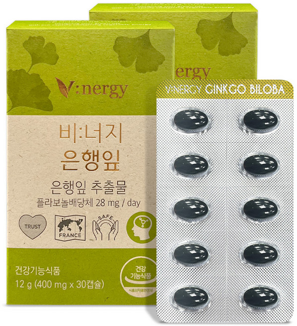 비너지 은행잎 영양제, 2개, 12g