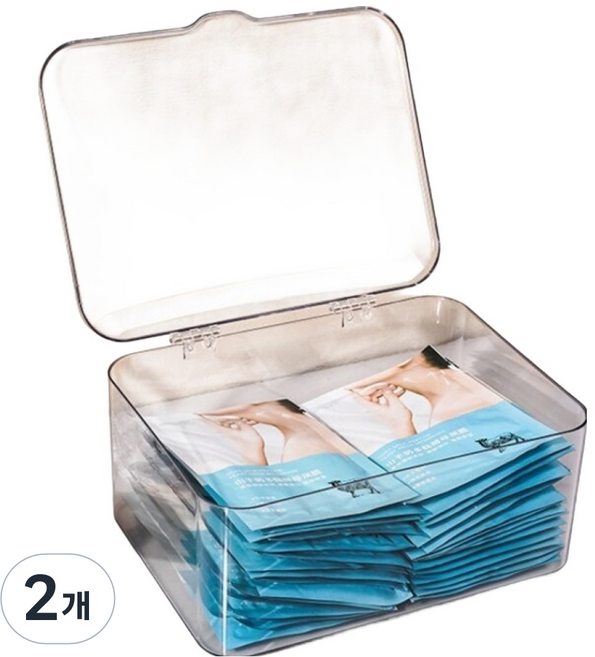 BenF Home 다용도 덮개형 정리 수납 옷장 책상 정리함, 투명, 2개