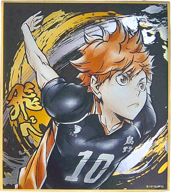 Haikyu 排球少年!! 激鬥!!閃亮色紙 日向翔陽, 1色, 1張