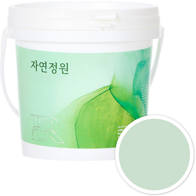 자연정원 친환경 셀프 벽지 규조토 황토 베란다 가구 곰팡이 결로방지 수성 페인트, BR029라이트그린, 1kg, 1개