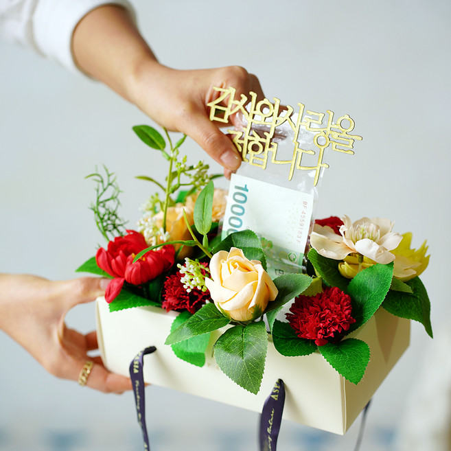 아스파시아 비누꽃 라비니아 카네이션 반전 용돈 박스 + 메세지픽 + 용돈비닐 20p + 쇼핑백 세트, 레드, 1세트