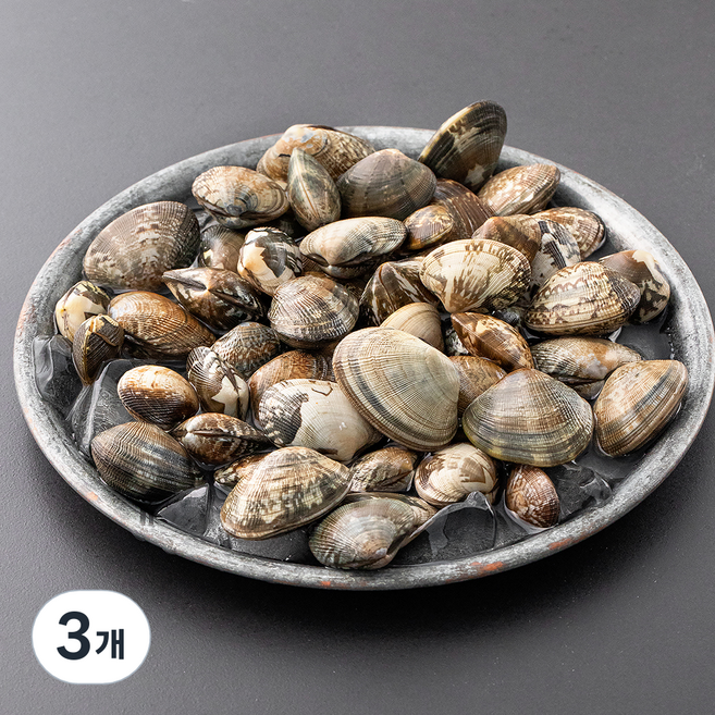 바다림 서해안 산지직송 생물 갯벌 참바지락 (냉장), 500g, 3개