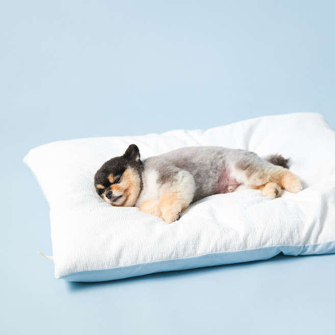 동원아르르 꿀잠이불 모달 강아지 고양이 겸용, 캐시미어블루, 1개