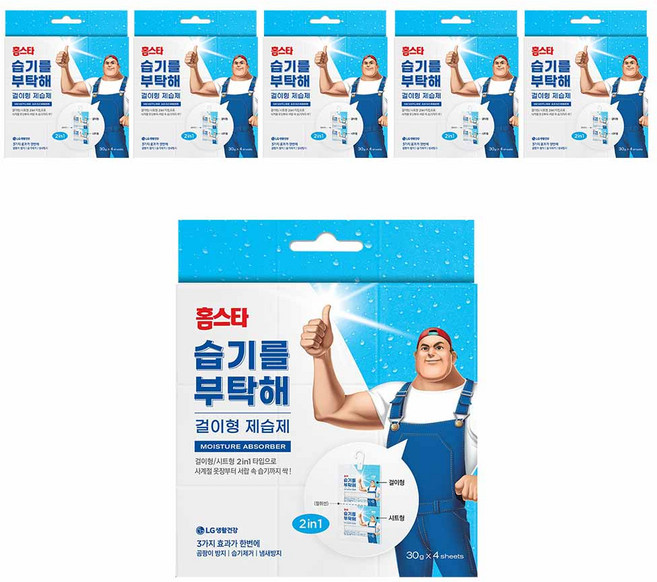 홈스타 습기를 부탁해 걸이형 제습제 본품, 30g, 24개