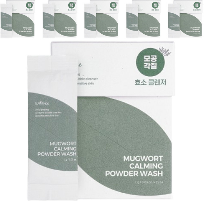 이즈앤트리 머그워트 카밍 파우더 워시 효소 클렌저, 25g, 6개