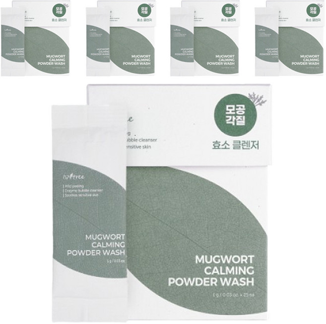 이즈앤트리 머그워트 카밍 파우더 워시 효소 클렌저, 25g, 5개