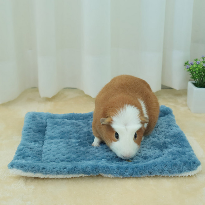 딩동펫 소동물 포그닝 도톰 매트 M, 블루, 1개