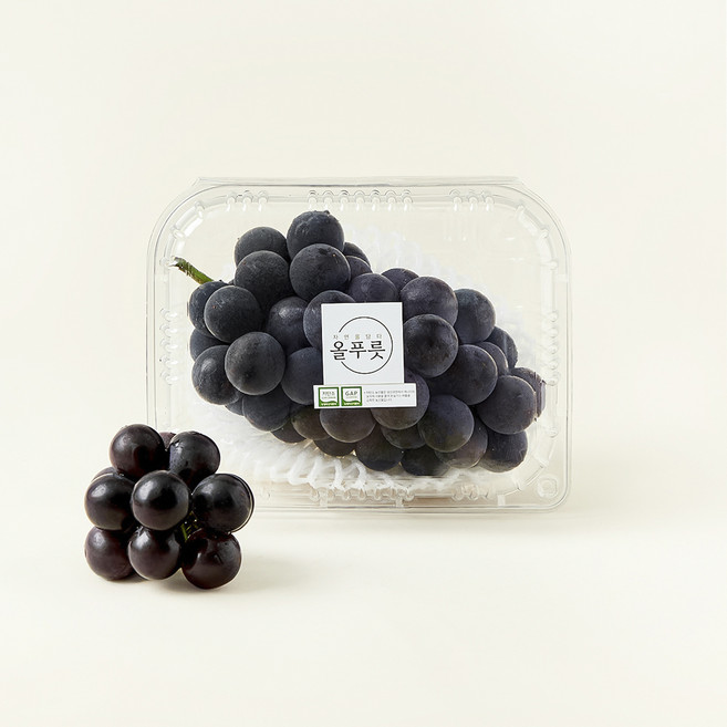 올푸릇 저탄소 거봉, 500g, 1개