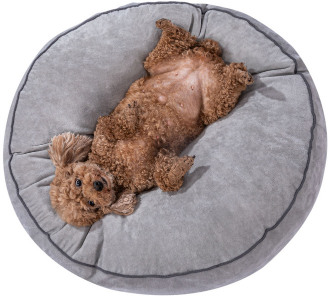 펫샵 소프트 펫쿠션 부드러운 강아지 방석, 그레이, 1개