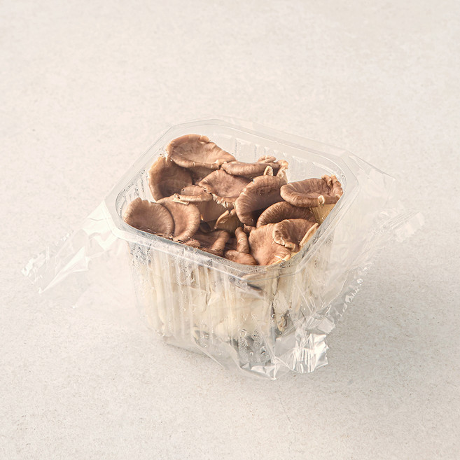 국내산 친환경 고기느타리버섯, 300g, 1개