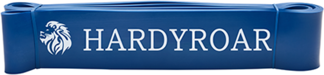 하디로어 라텍스 보조밴드 헬스용품, 파랑, 1개