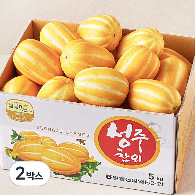 성주 가정용 실속 참외, 5kg, 2박스