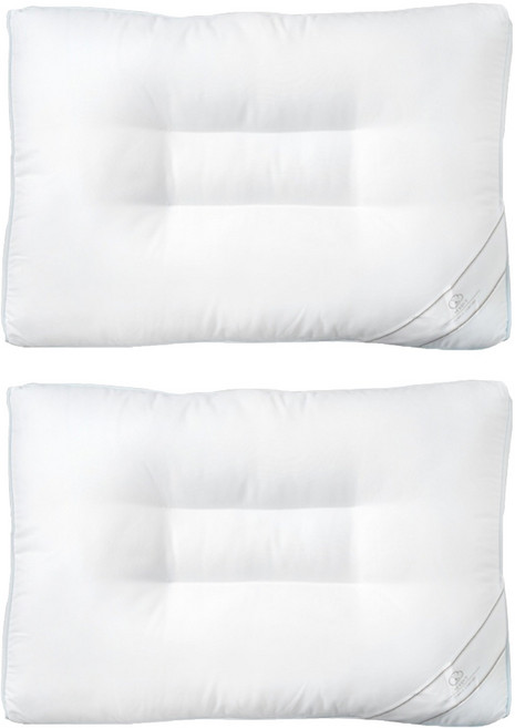 모든 요일의 방 마이크로화이버 다운필 초극세사 경추 베개솜, 화이트, 2개