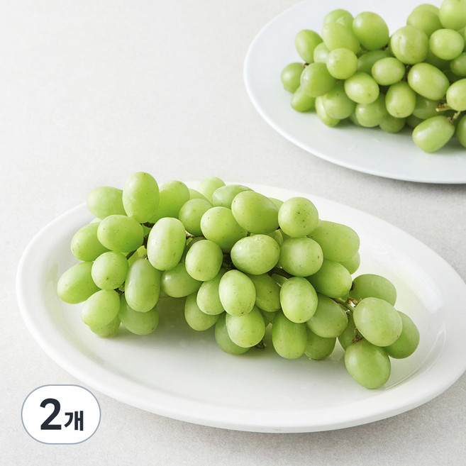 칠레 청포도, 900g, 2개