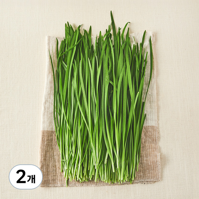 국내산 무농약 부추, 300g, 2개