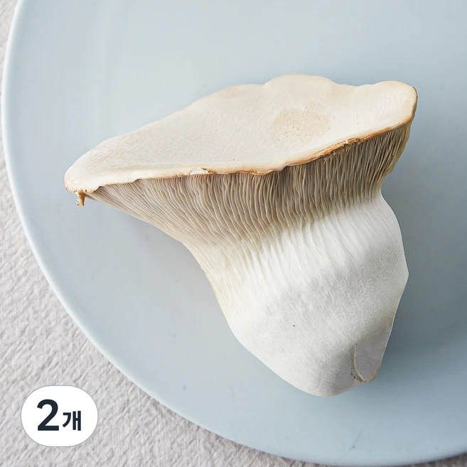 국내산 친환경 황제버섯, 180g, 2개 - 쿠팡