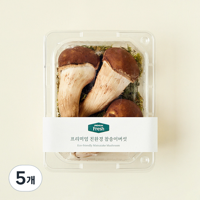 프리미엄 친환경 참송이버섯, 100g, 5개