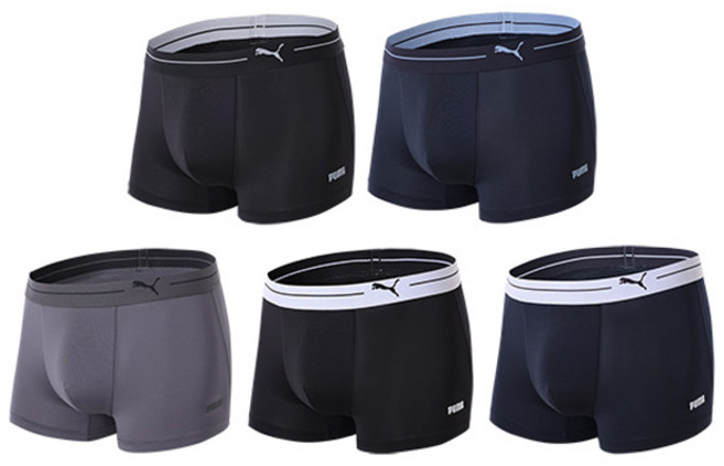 푸마바디웨어 빅사이즈 포함 남성용 로고 벤틸레이션 드로즈 팬티 5종 세트