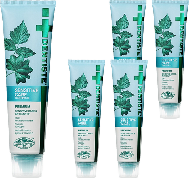 덴티스테 뉴 센서티브 케어 치약, 100g, 5개