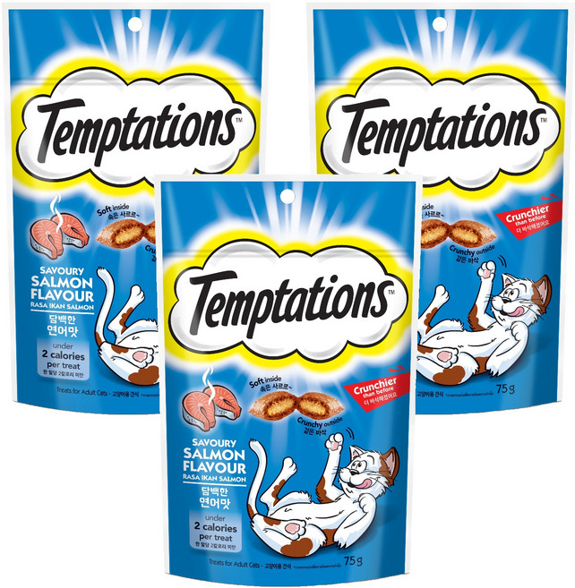 템테이션 고양이 담백한 스낵, 연어맛, 75g, 3개