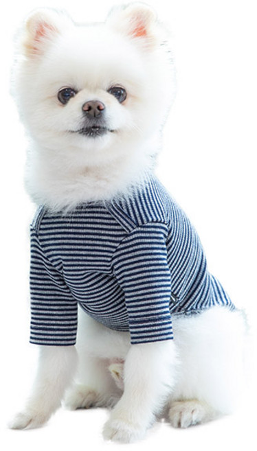 펫츠랜드 반려동물 크레페 티셔츠, 그레이, 1개