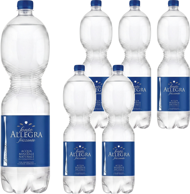 FONTE ALLEGRA 亞莉佳 氣泡礦泉水, 1.5L, 6瓶