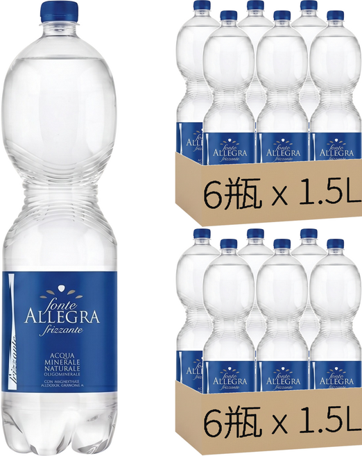 FONTE ALLEGRA 亞莉佳 氣泡礦泉水, 1.5L, 12瓶