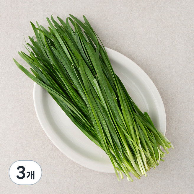 김해 대동 부추, 300g, 3개