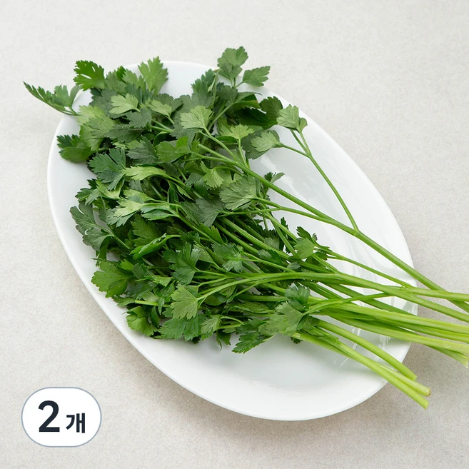 국내산 이탈리안 파슬리, 30g, 2개 - 쿠팡