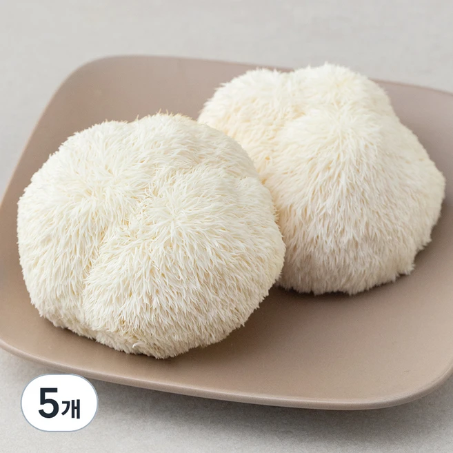 국내산 친환경 노루궁뎅이 버섯, 150g, 5개 - 쿠팡
