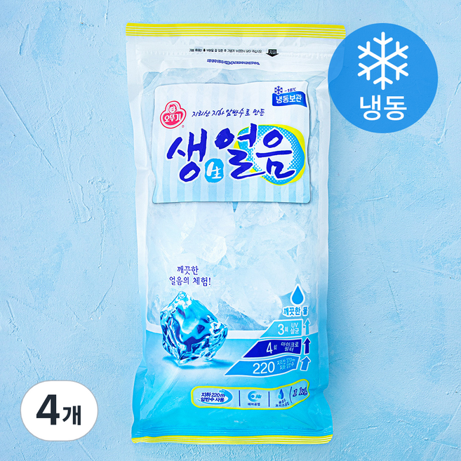 오뚜기 생얼음 (냉동), 1kg, 4개