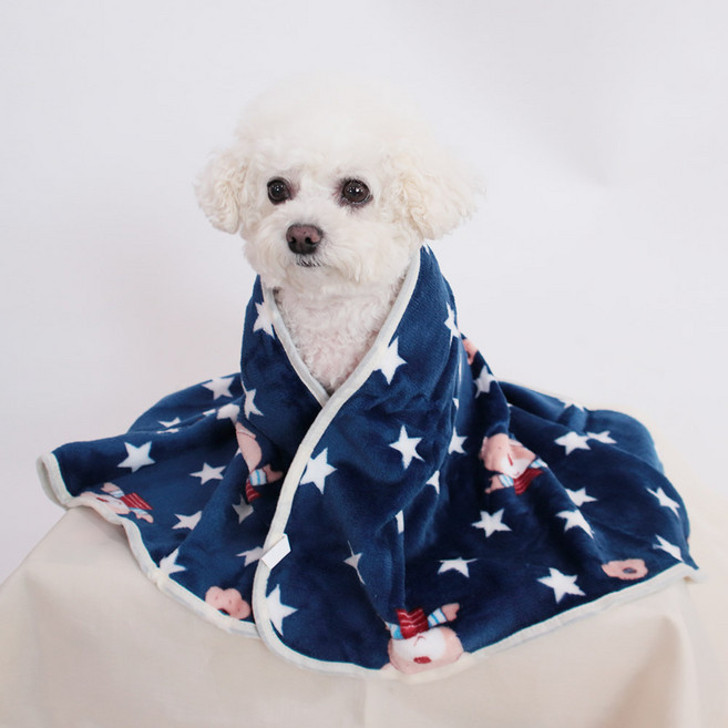 딩동펫 반려동물 이지 극세사 이불담요, 스타베어 네이비, 1개