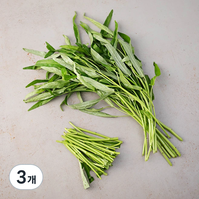 국내산 공심채, 150g, 3개 - 쿠팡