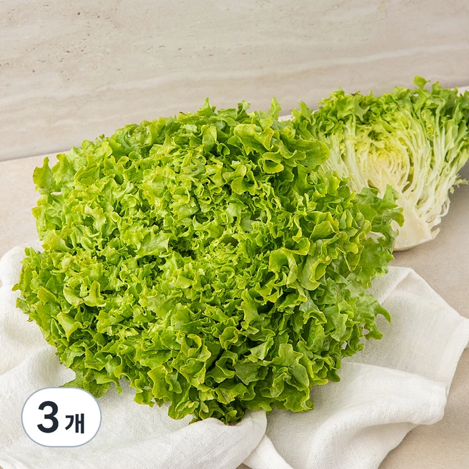 국내산 멀티리프, 200g, 3개 - 쿠팡