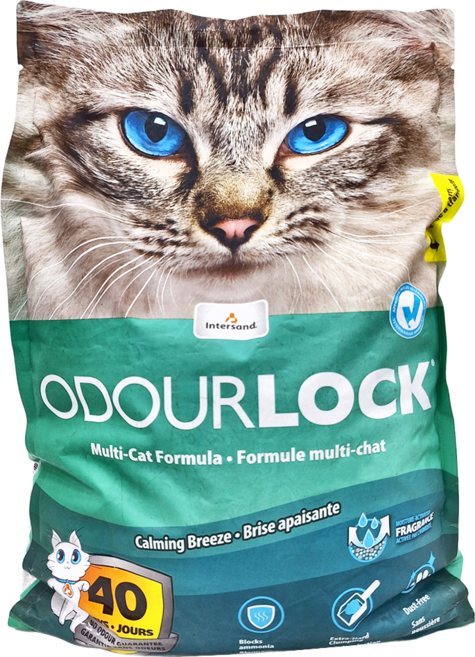 Intersand 晶鑽 白晶除臭凝結細貓砂, 茉莉綠, 12kg, 1袋