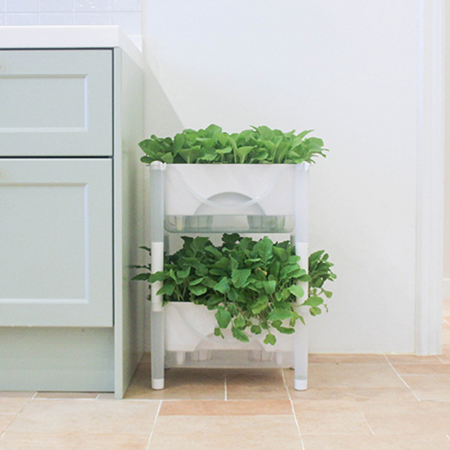 플라팜 라운드 저면관수 화분 2단, 화이트 + 투명, 1개