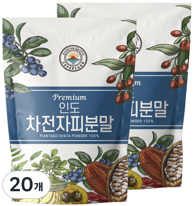 해나식품 인도 차전자피분말, 500g, 20개