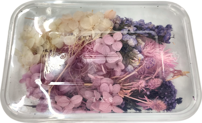 A-ONE 匯旺 乾燥花 B05 3盒, 普羅旺斯