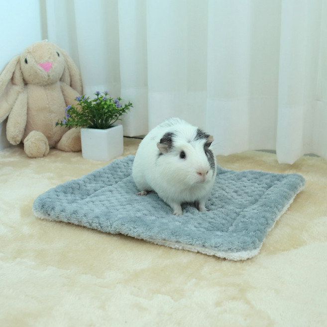 딩동펫 소동물 포그닝 도톰 매트 S, 그레이, 1개