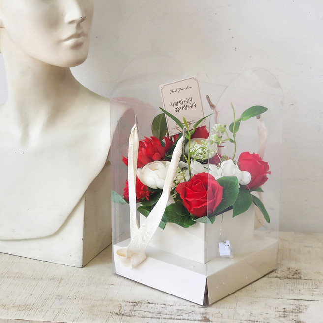 ASPASIA 香皂花 Sertin 康乃馨手提花盒 + 留言卡 + LED燈泡 + 零用錢信封套組, 紅色(花盒), 1套
