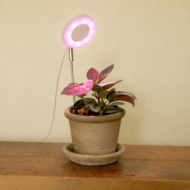 루아즈 도넛 LED 생장 식물등, 혼합색상