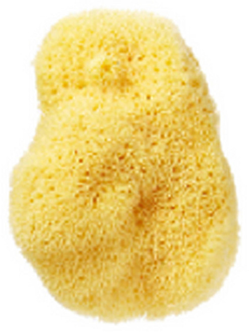 뷰티풀스킨 세안용 천연해면 스펀지 라지, 1개