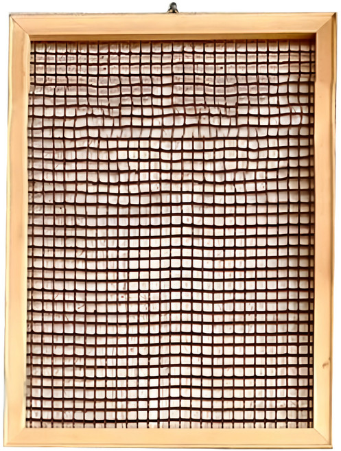 植物板框 10mm網孔 木頭鐵線龍網, 1個