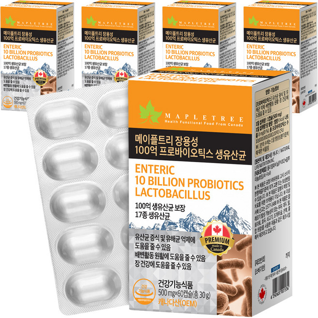 메이플트리 장용성 100억 프로바이오틱스 생유산균, 60정, 5개