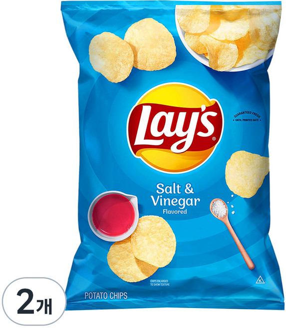 레이즈 솔트 앤 비네거 감자칩, 184.2g, 2개