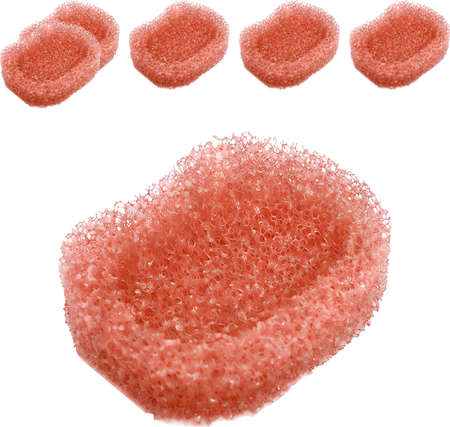 크린메이트 개구리 비누곽, 핑크, 6개