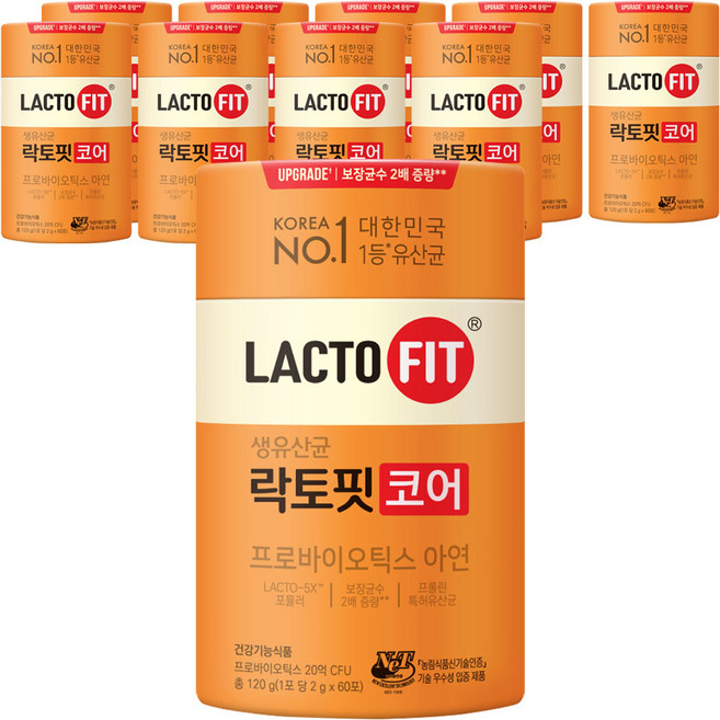 락토핏 코어 유산균 60p, 120g, 10개