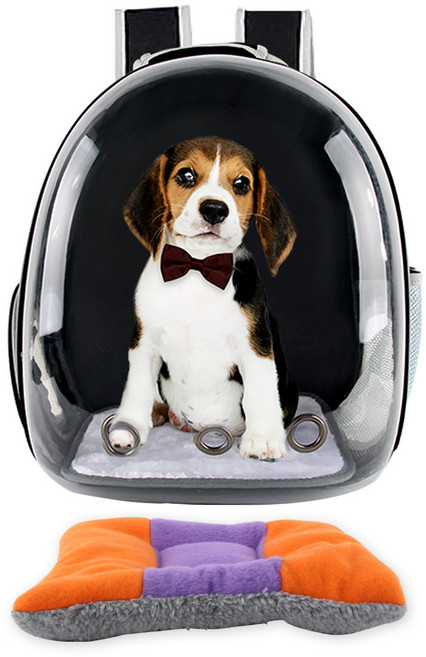 도그아이 투명우주선 강아지가방 + 방석, 블랙, 1개