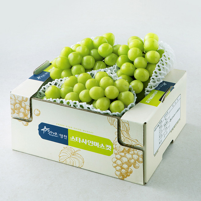 금호농협 영천 샤인머스캣, 1개, 1.5kg